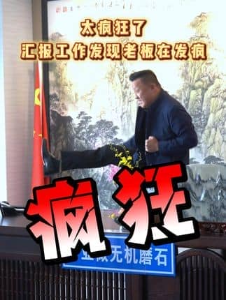  威逸远无机磨石,  疯狂的磨石君：太疯狂了，汇报工作发现老板在发疯